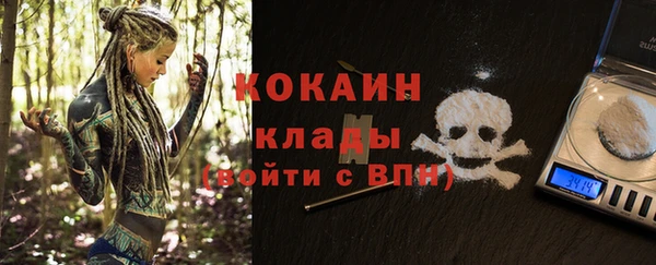 крисы Майский